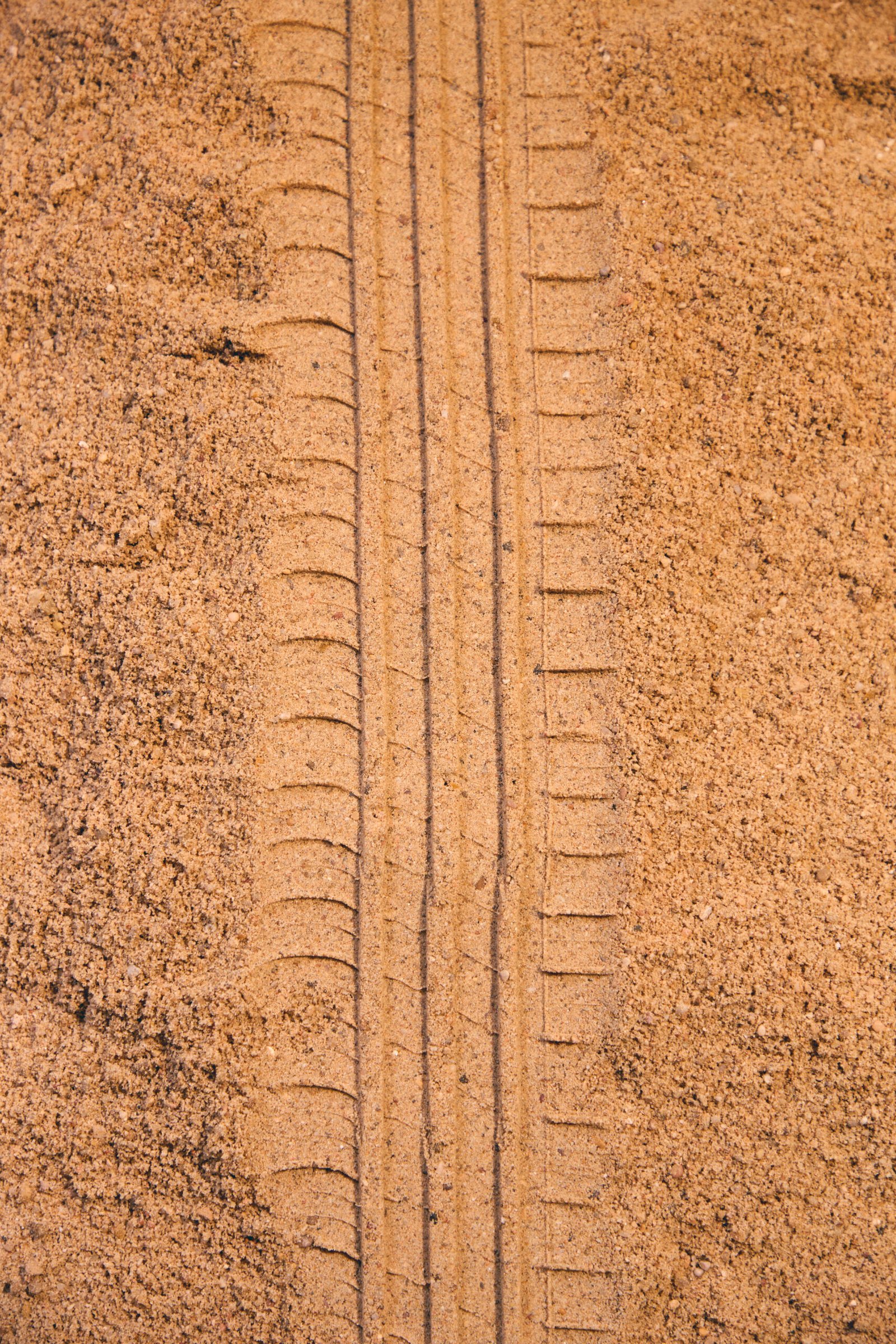 project-cherry-massia-7